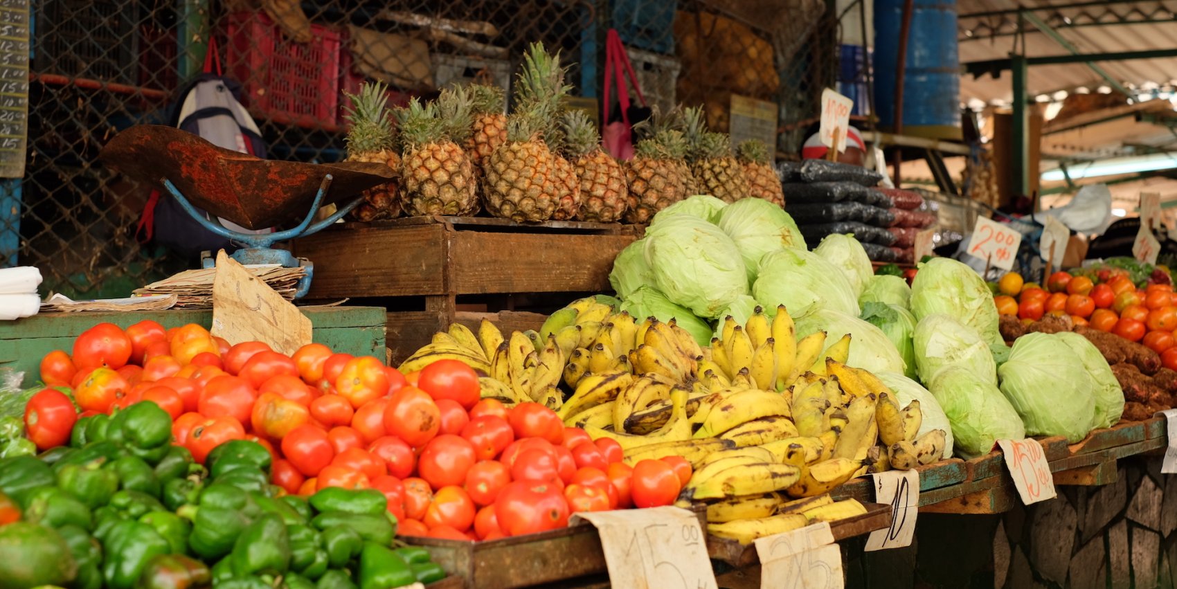 Variety of fruits and vegetables at an outdoor street vendors stand in Cuba
