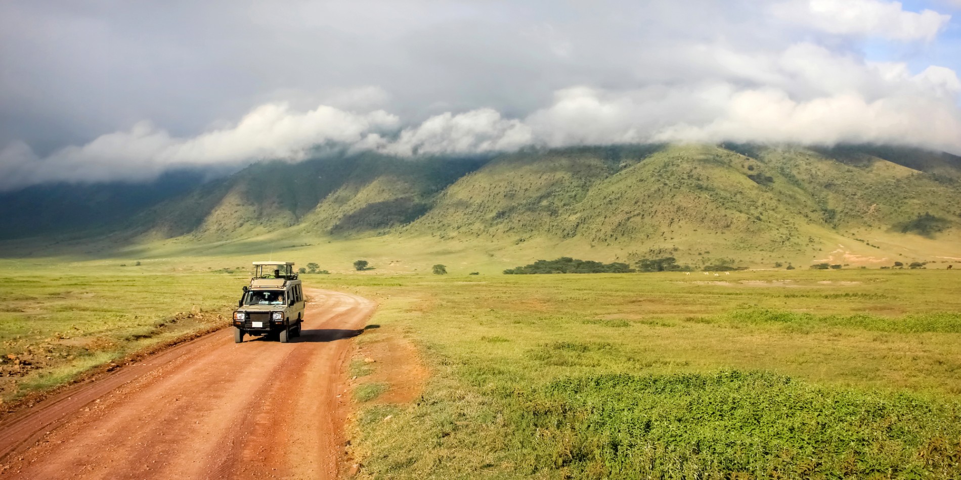 A safari car on a desert dirt road driving towards the camera with green trees and low clouds behind it