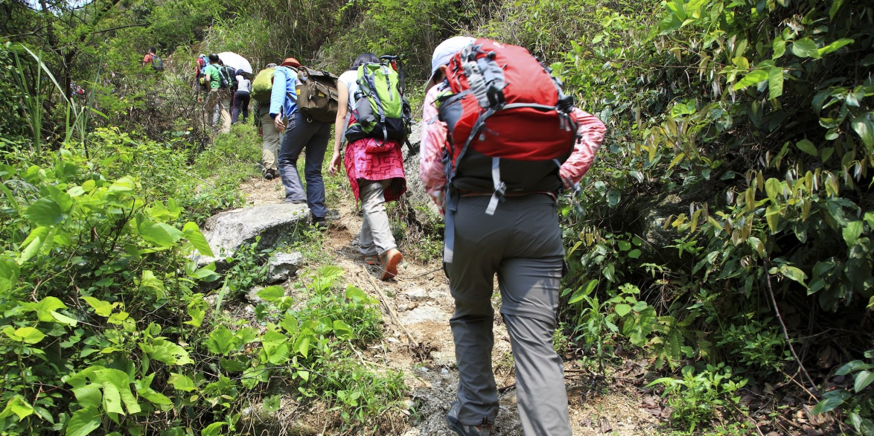 A group of hikers walking through the forest in Portugal.