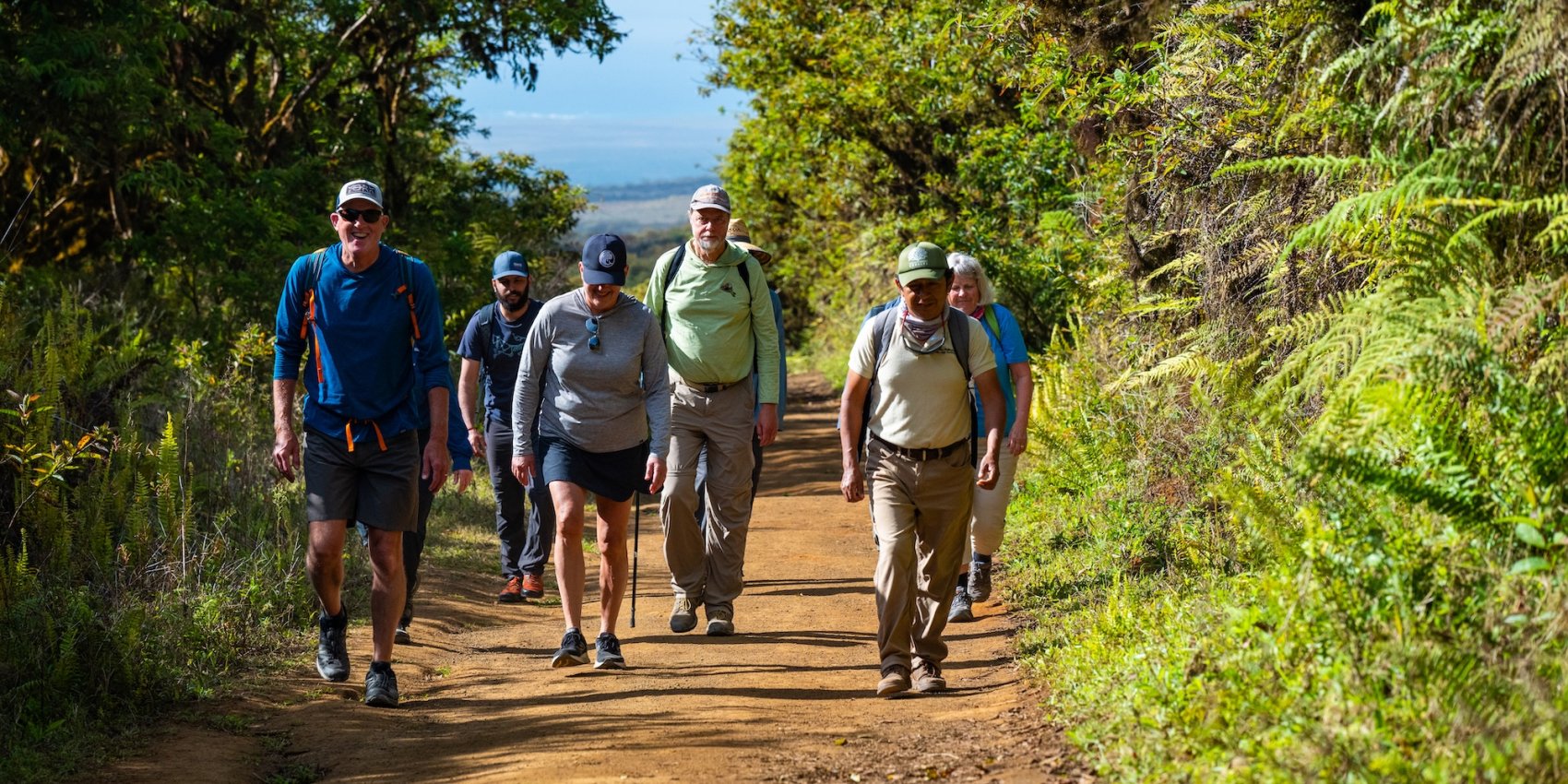 A group of hikers walks along a dirt trail surrounded by dense forest vegetation in the Galápagos highlands, guided by a local naturalist.