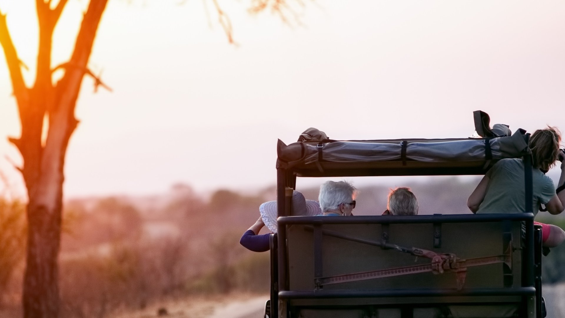 Tourists on an ethical African safari tour observe wildlife from a respectful distance at sunset, capturing the beauty of nature without disturbing animals.