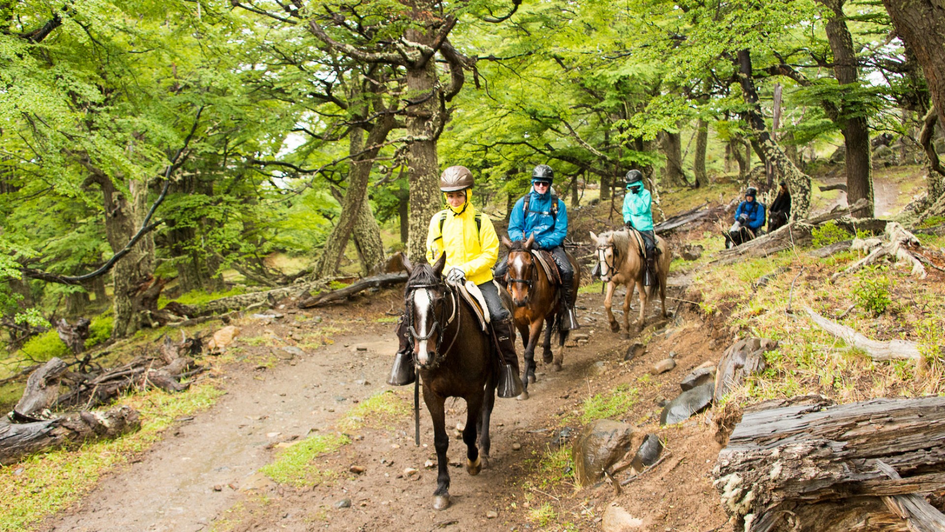 horseback riding in Patagonia