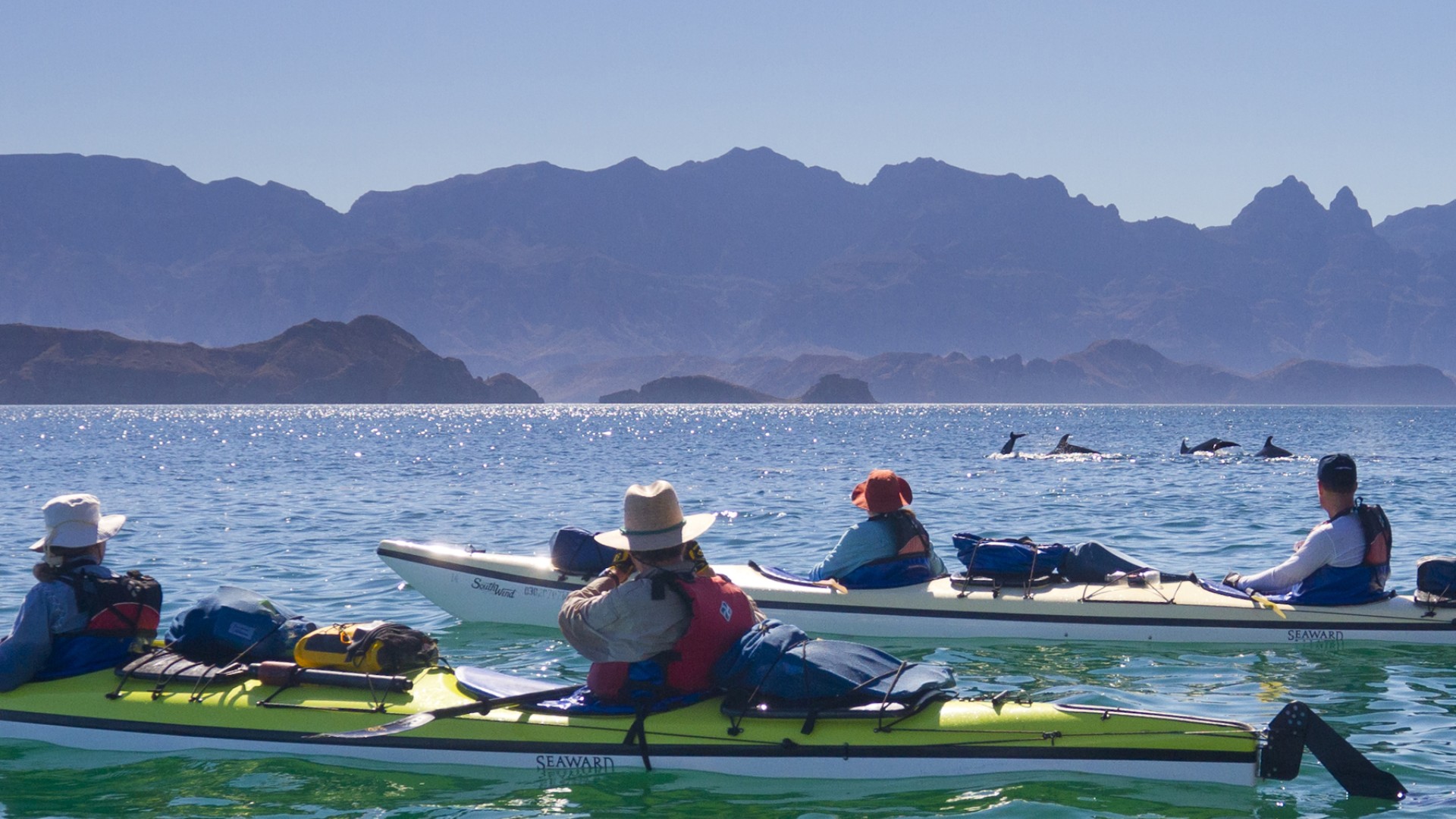 Sea kayakers paddling in the Sea of Cortez with the islands of Loreto Bay scattered behind them