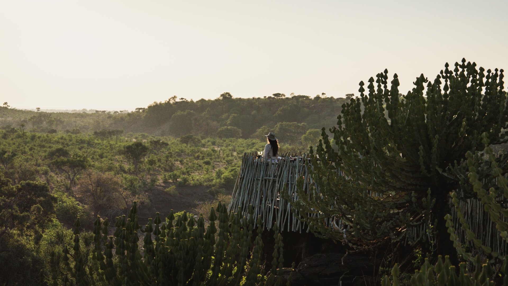 Woman standing on a raised platform overlooking a vast green landscape at sunset in Botswana.