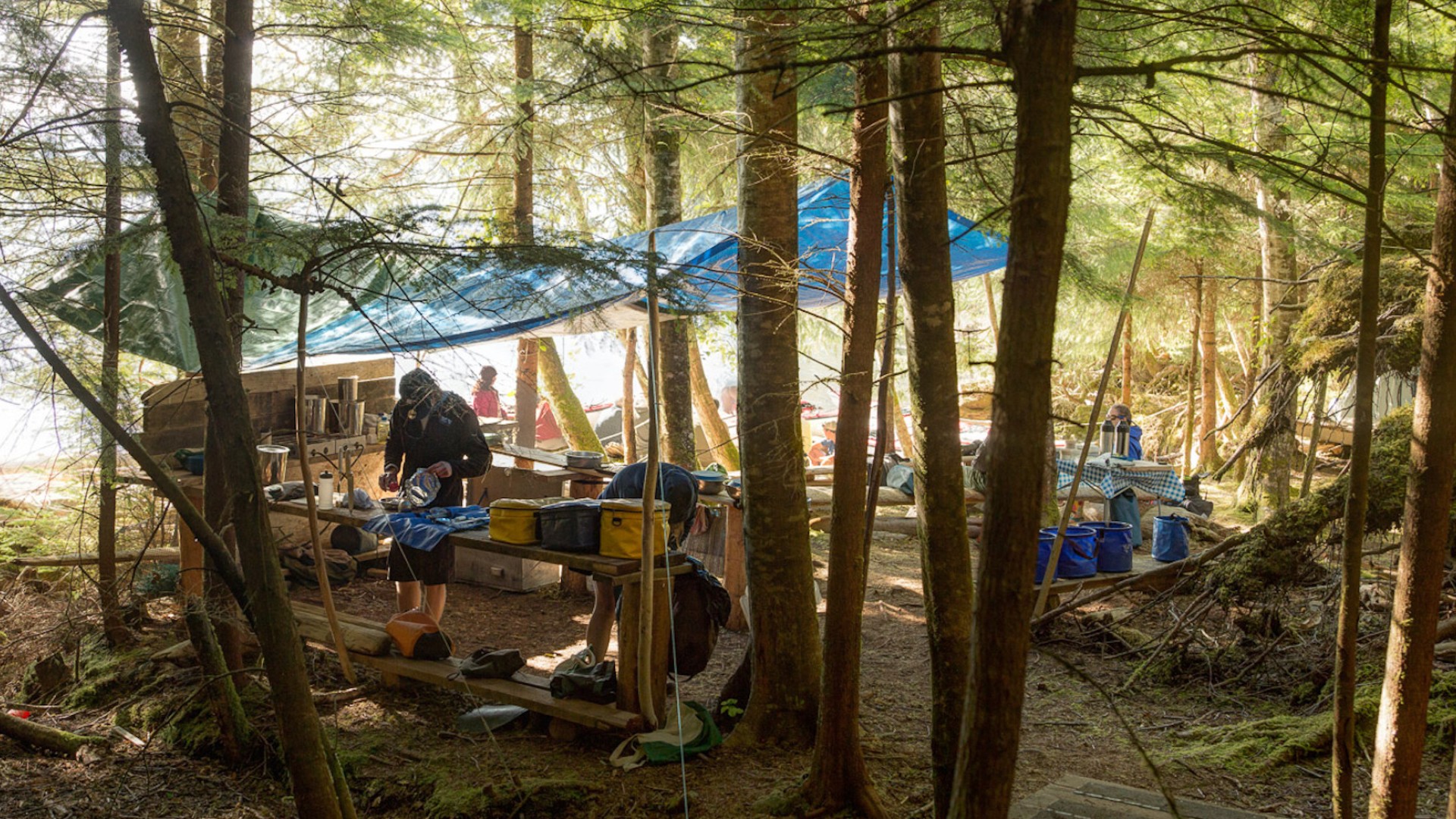 Camping kitchen set up in a dense forest with blue tarps hung in the trees 