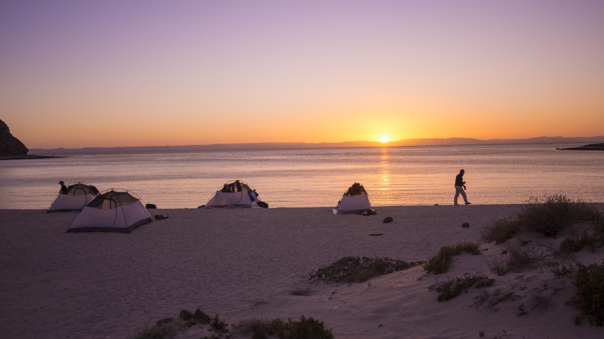 Group of tents on a white sand beach overlooking the Sea of Cortez at sunset