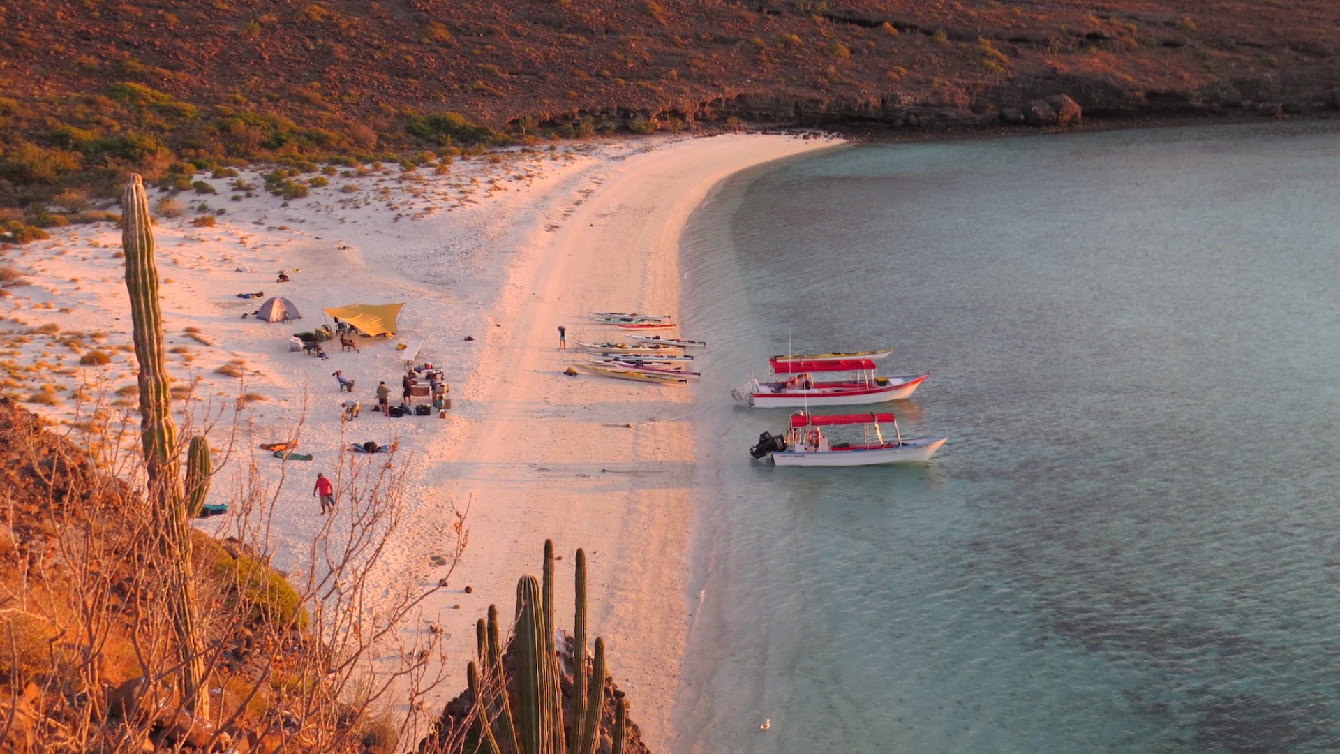 Birdseye view of a group camping set up on a beach in Baja