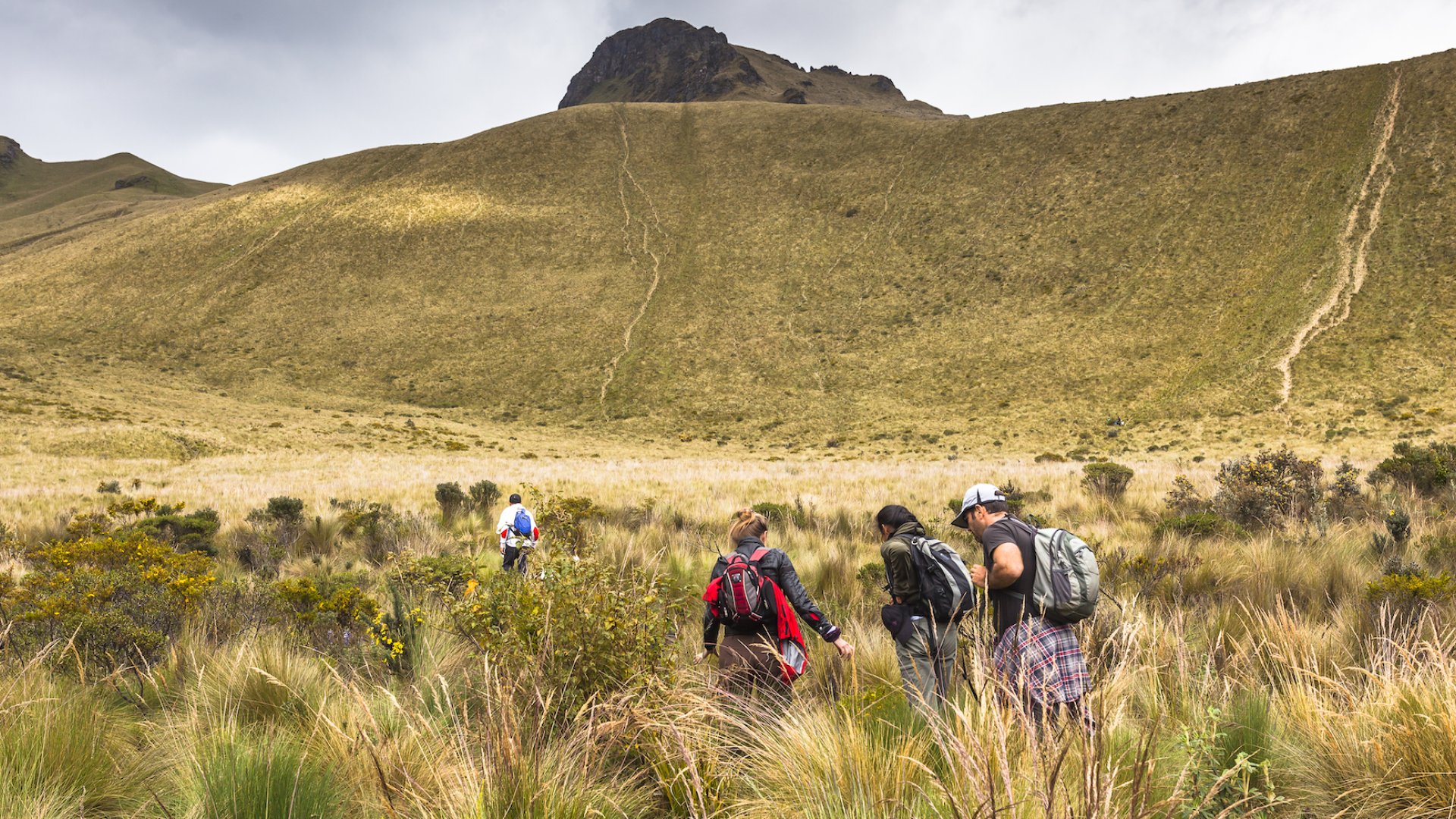 People hiking through Cotopaxi National Park