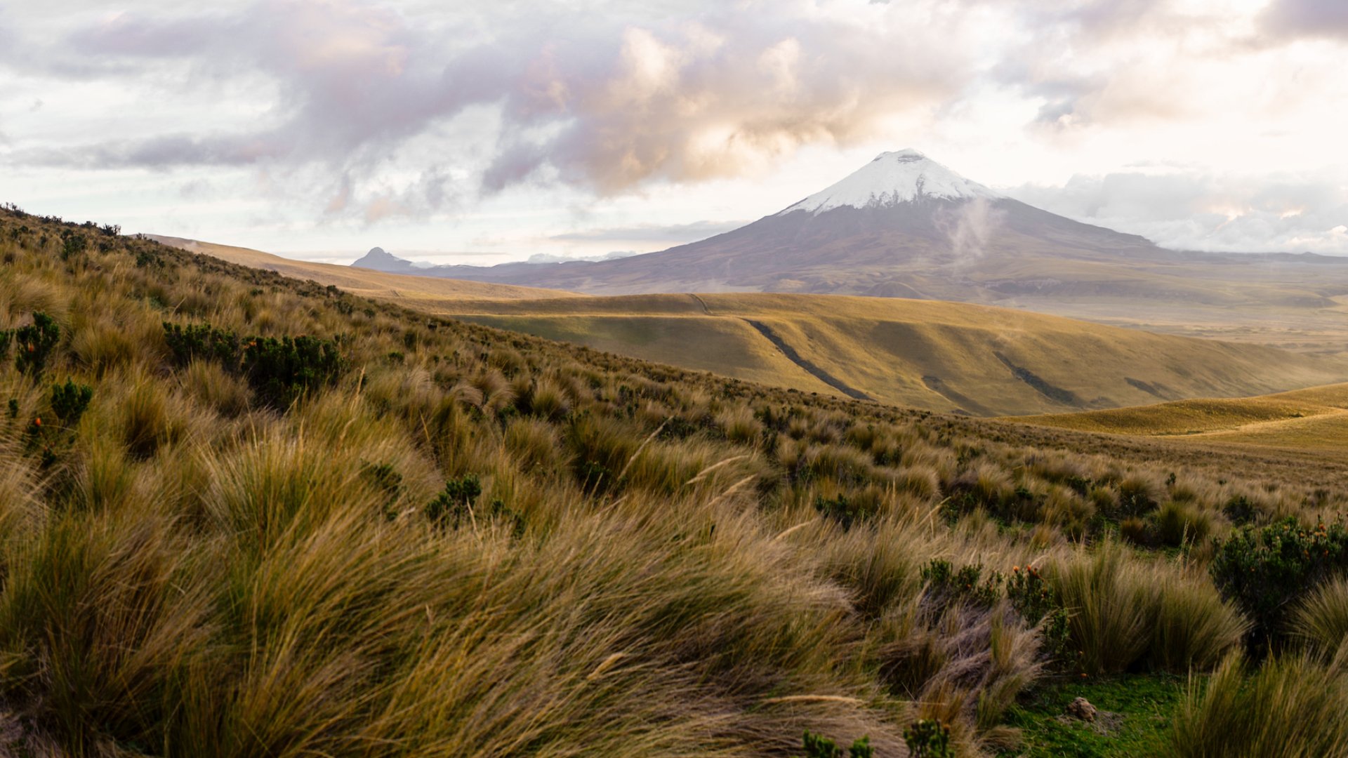 Panoramic view of a volcano standing tall and alone in Cotopaxi National Park