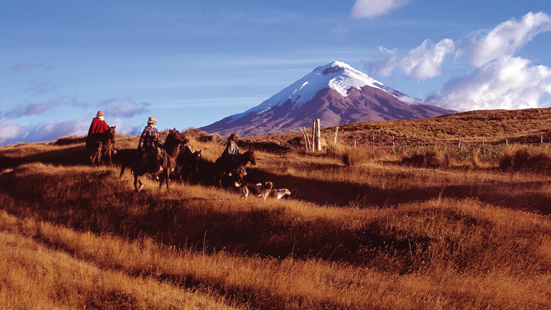 People horseback riding past a volcano in the Andes in Ecuador