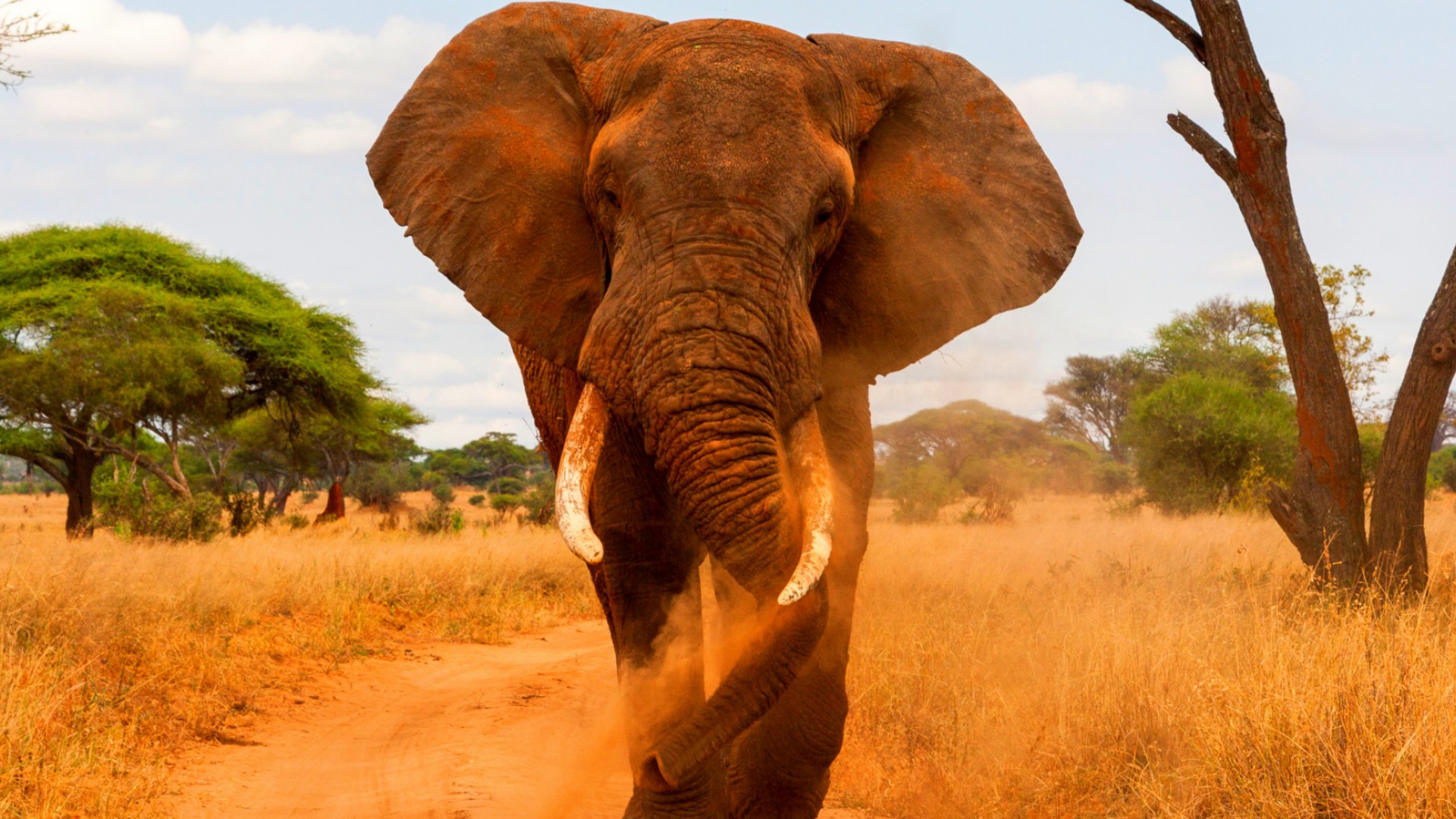 Tanzania Culture & Wildlife Safari | Adventure Unbound