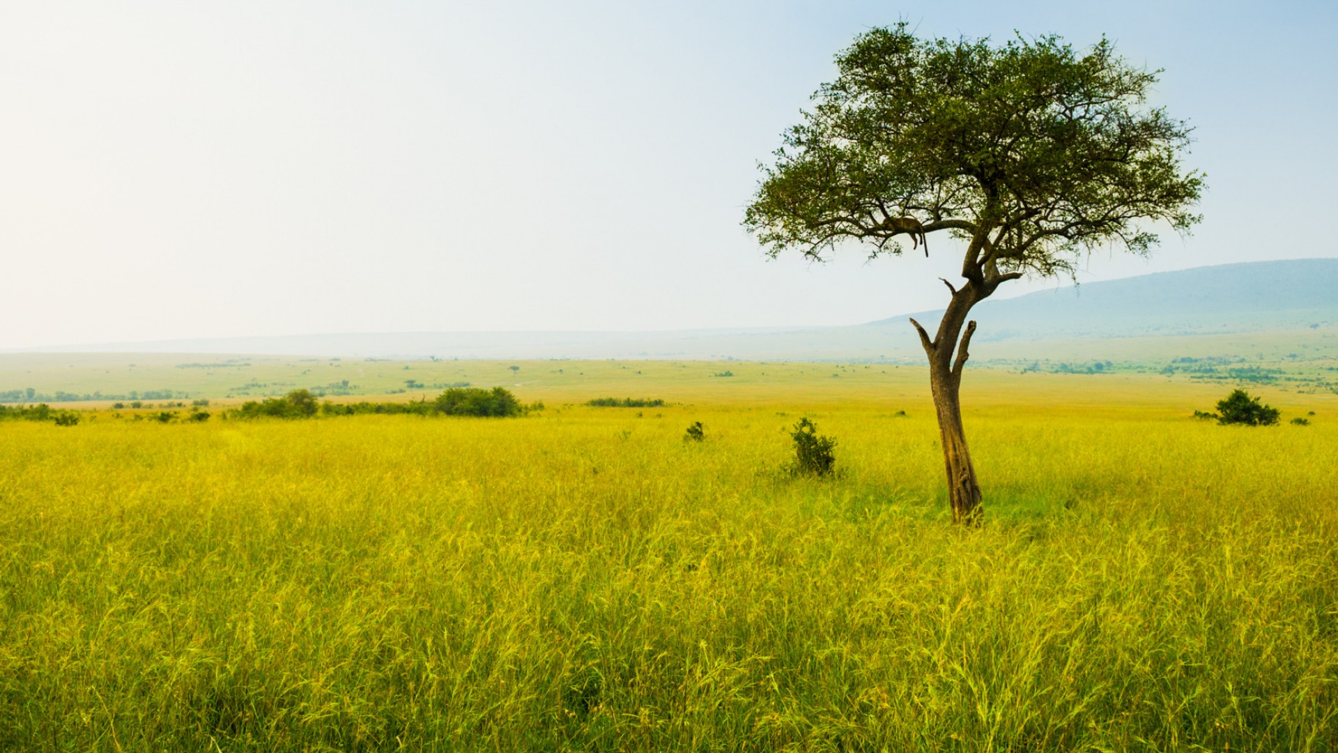 Kenya Trails Kenya Adventure Safari