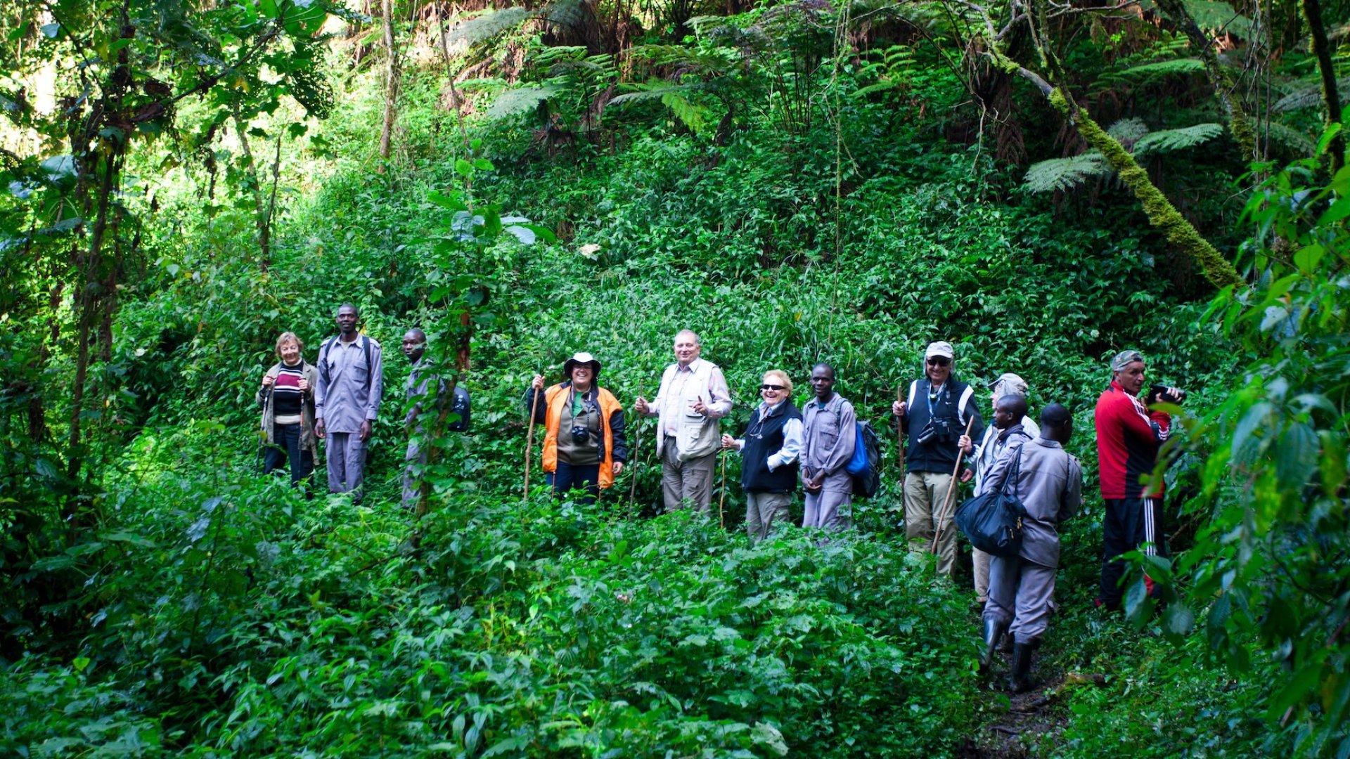 A group of tourists and local guides hiking through the dense forest in Gabon.