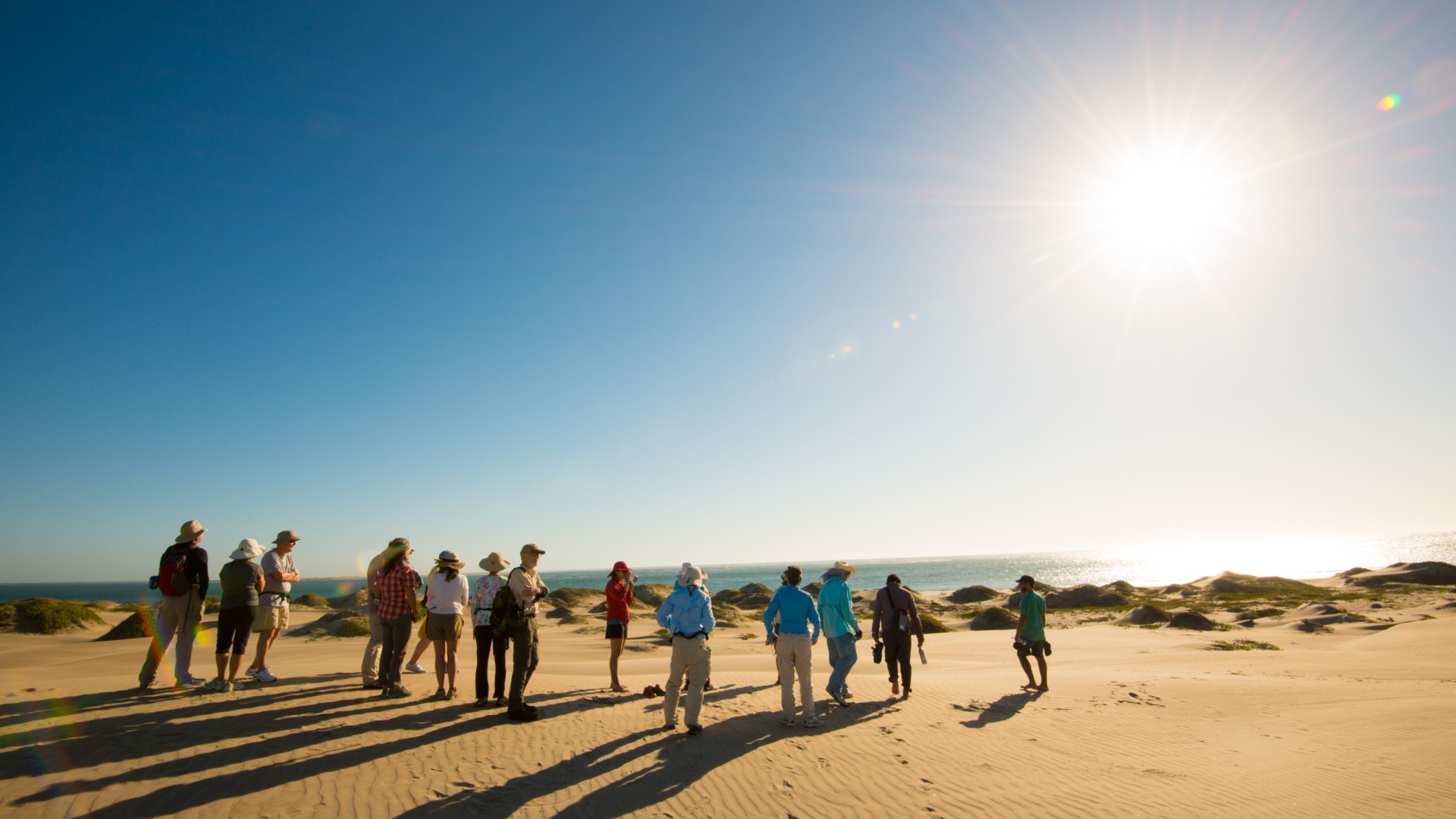 Group of campers on Magdalena Bay hiking around the sand dunes underneath the winter sun