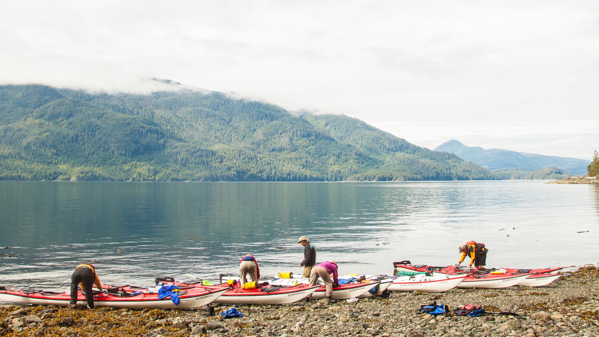 Sea kayakers packing their kayaks on shore on a misty morning in British Columbia