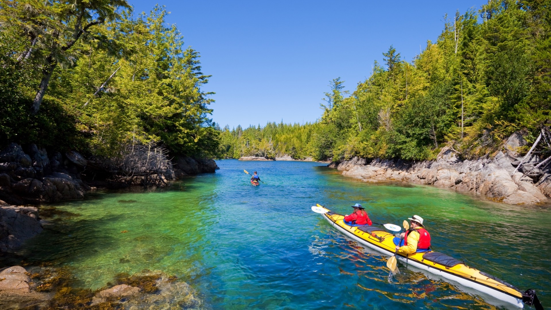 Kayakers paddling through a narrow passage of granite and ponderosa pine trees in God's Pocket Provincial Park