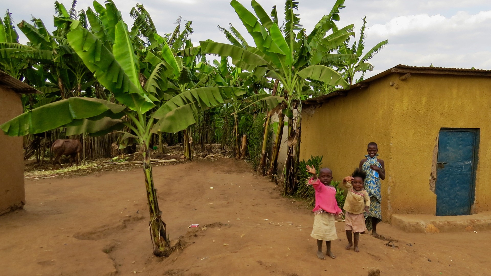 Kids in a Rwandan village waving hello