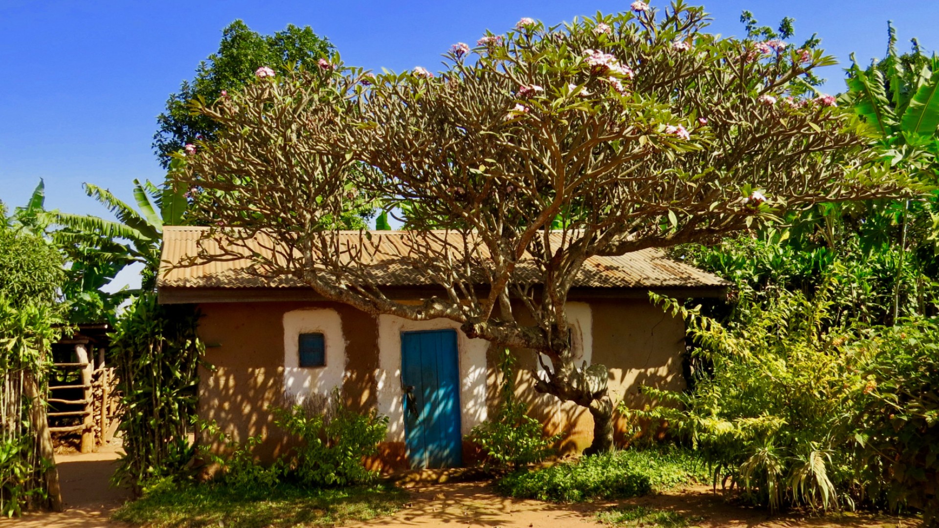 small home with a prominent blue door in Rwanda countryside
