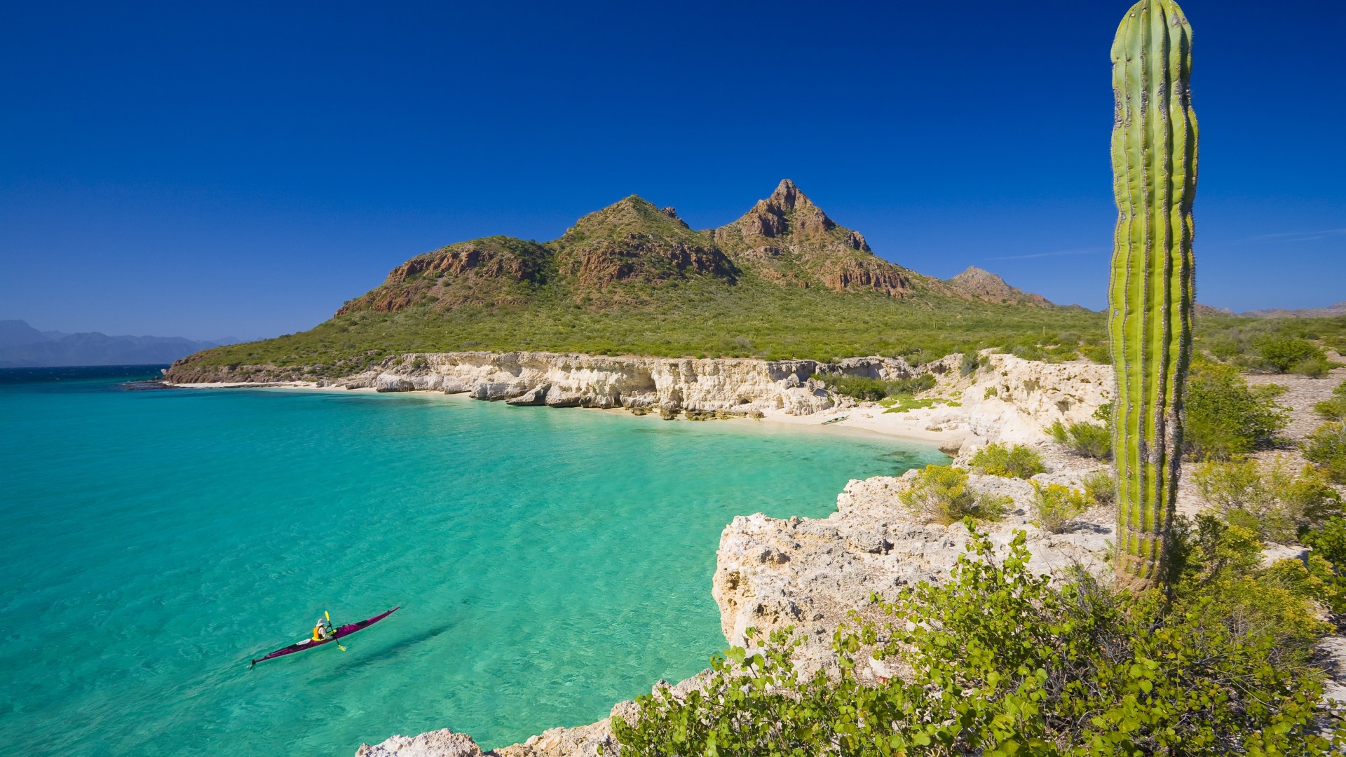 Sea kayaker paddling through a scenic cove atop turquoise waters with Carmen Island in the background