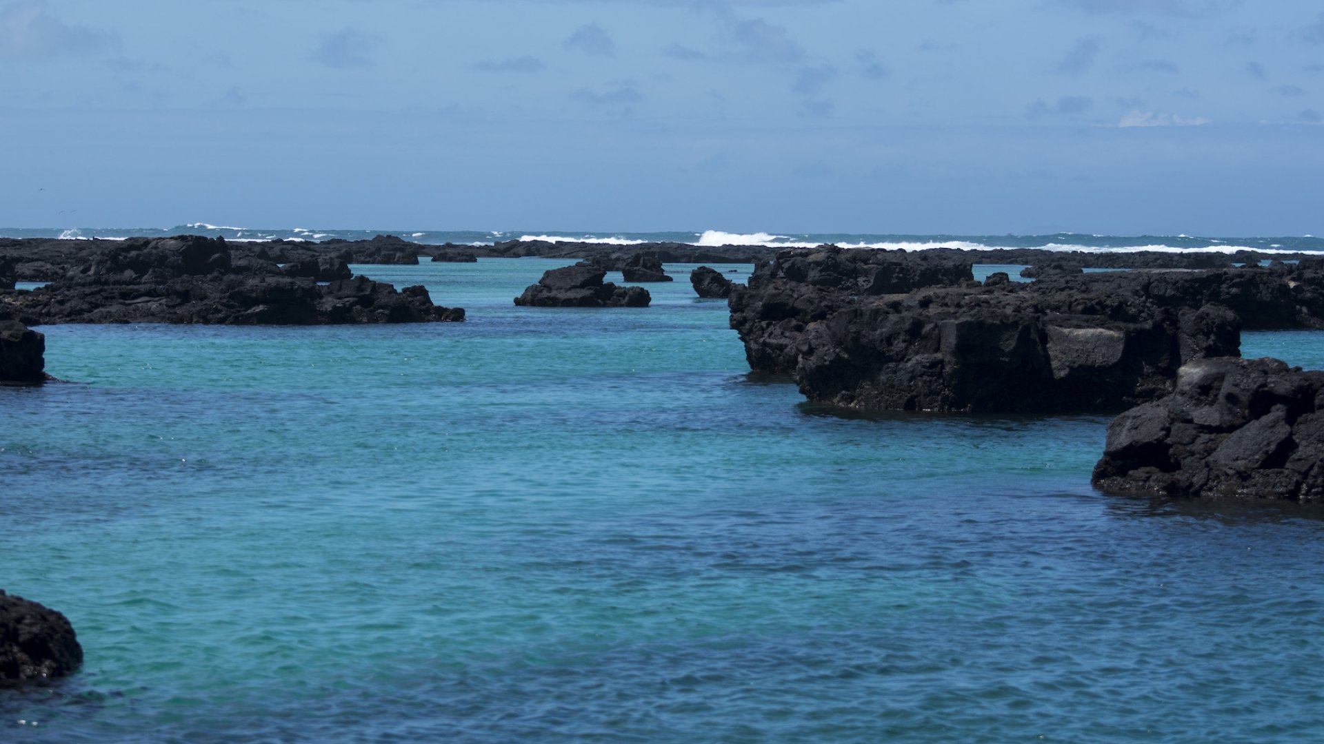 Volcanic rock proturding out of bright clear blue water in the Galapagos