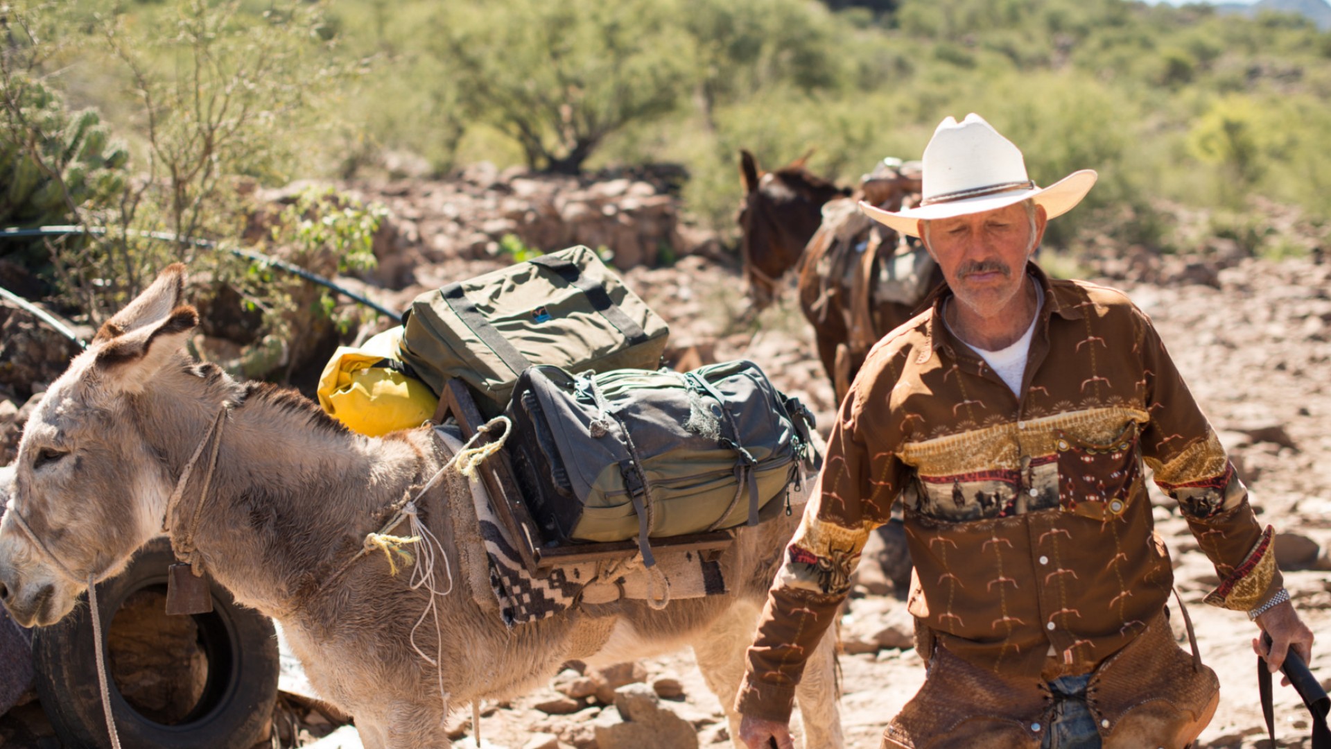 Man with a white cowboy hat pulling a horse carrying gear on a hike in baja