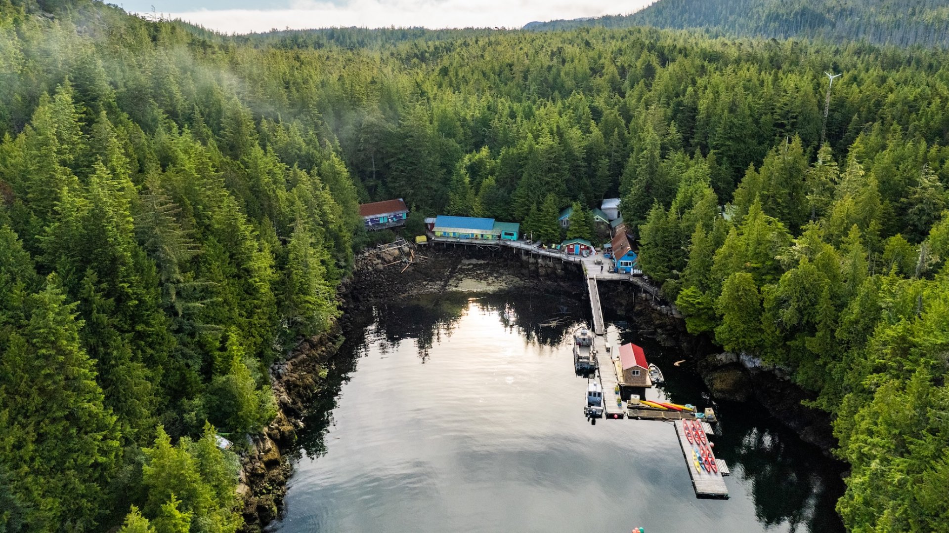Aerial view of God’s Pocket Resort surrounded by dense forest and calm coastal waters in British Columbia