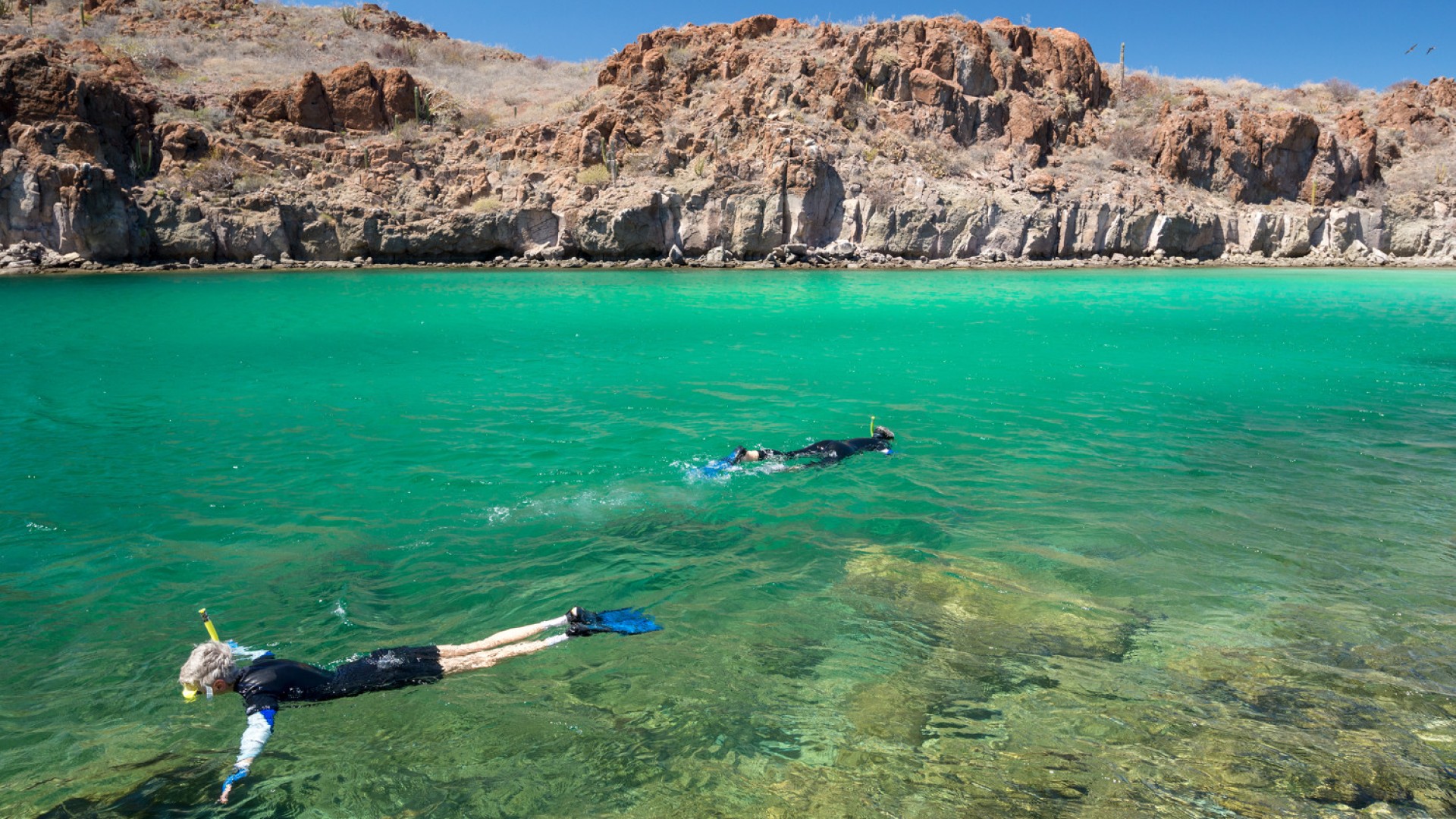 Person snorkeling in the turquoise waters of the Sea of Cortez on a sunny day