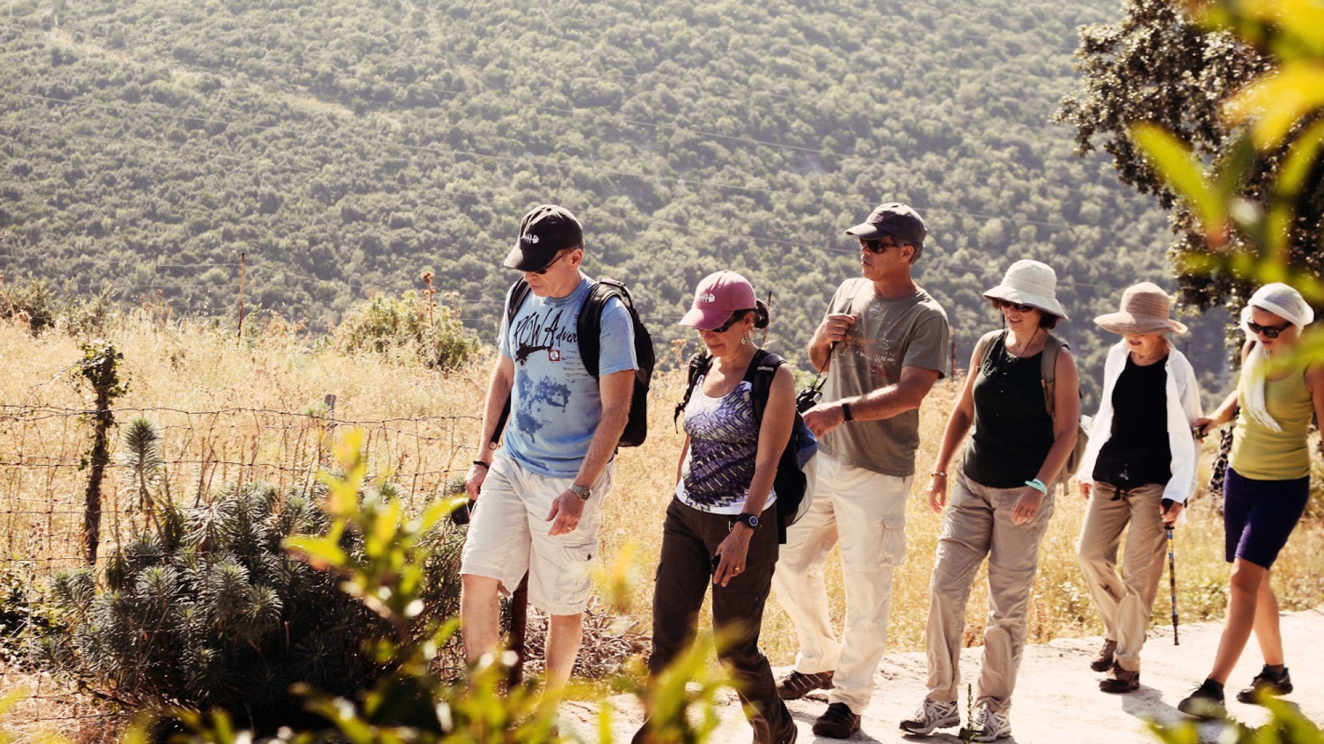 Group of people hiking in a single file line on a trail in the Croatian hillside