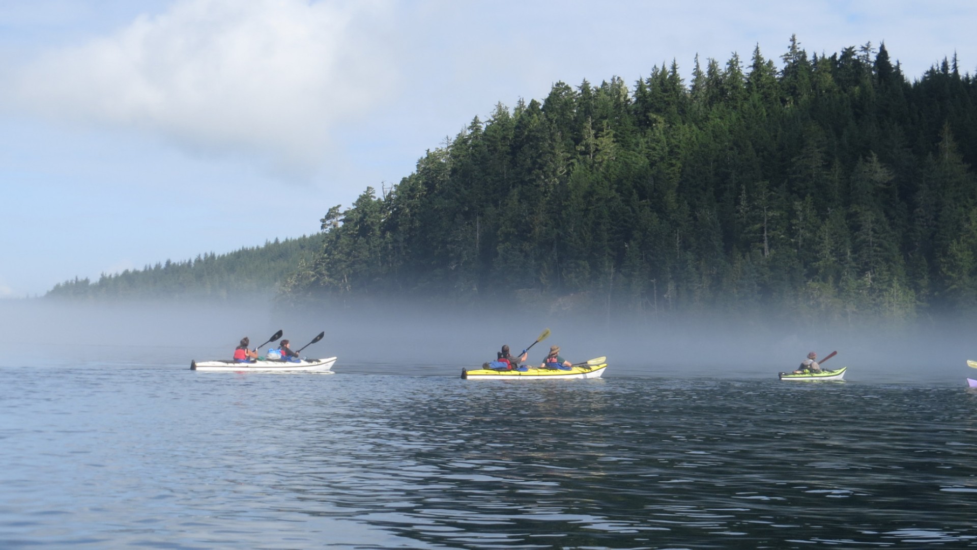 People kayaking on a misty morning off the coast of Vancouver Island