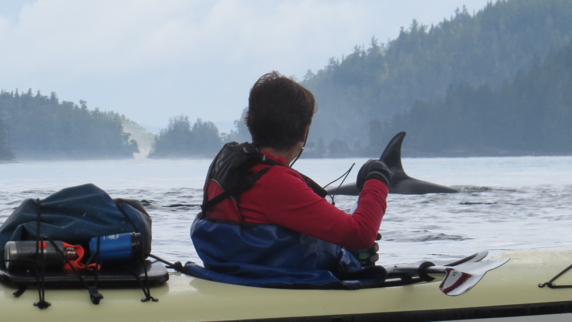 Sea kayaker looking to her left where an orca whale is breaking the surface of the water on a cloudy day in Canada