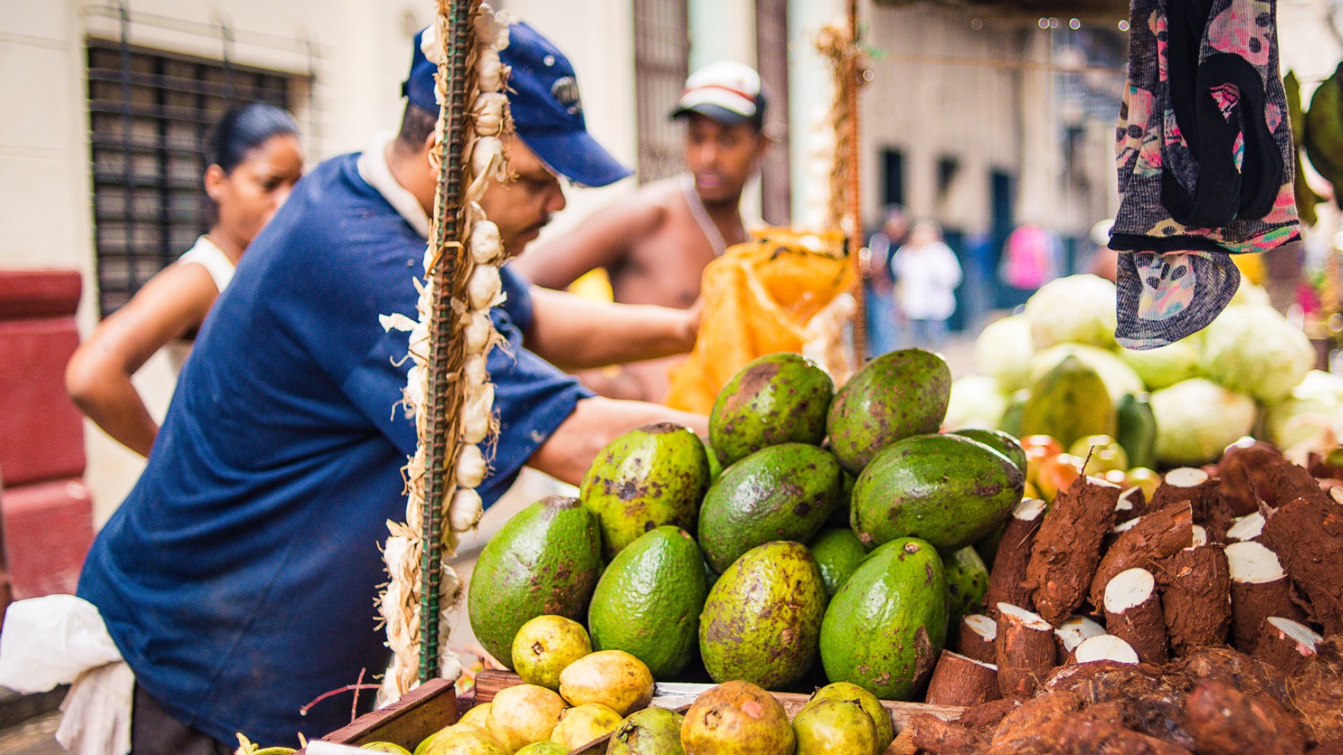 fruit stand in the streets of havana, cuba