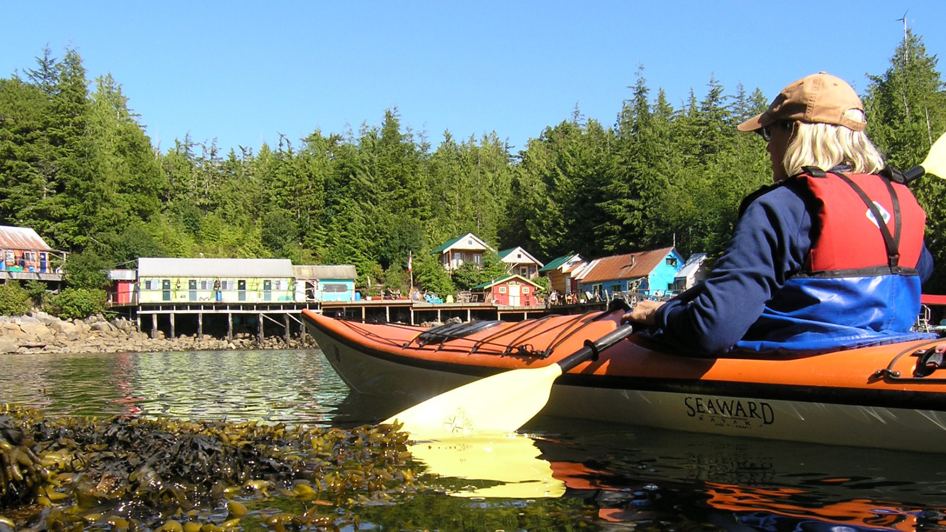 Woman paddling through kelp and seaweed as she approaches God's Pocket Resort in a private inlet in British Columboa
