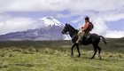 A person riding horseback through the Andes on a sunny day