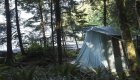 tent in the dense British Columbia forest