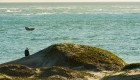 Person sitting in a sand dune on a sunny day looking over the Pacific Ocean as a whale tail sticks out of the water