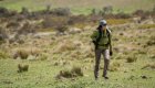 Person hiking through Cotopaxi National Park