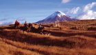 People horseback riding past a volcano in the Andes in Ecuador