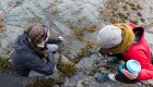 Two guests exploring the tide pools off of their coastal British Columbia beach camp