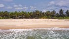 Views of the forest and coastline in Gabon.