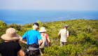 People hiking on a grassy ridgeline overlooking the Adriatic Sea in Croatia