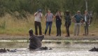 A hippo in a pond with its mouth wide open while a group of safari goers take pictures