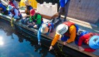 Two guests in white sun hats leaning over a dock to put their hands in the water to touch sea life beneath the dock on a sunny day in BC, Canada