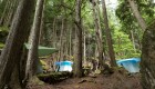 base camp tents in woods in canada