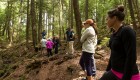 hikers in bc rainforest