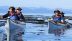 Family sea kayaking in white tandem kayaks on a sunny day surrounded by kelp and the Canadian Rockies in the distance