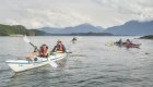 a group of sea kayakers paddling in British Columbia