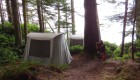 Base camp set up with canvas tents on wooden platforms in a dense forest in British Columbia