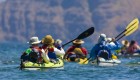 Group of sea kayakers paddling away from the camera and towards desert-scape islands