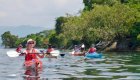 Guided group kayaking near a green, tree-lined shoreline on Lake Kivu in Rwanda.