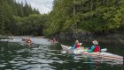 A group of sea kayakers paddling on remote waters in British Columbia.